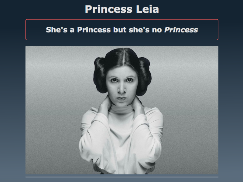Princess Leia project
